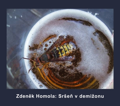Sre v demionu